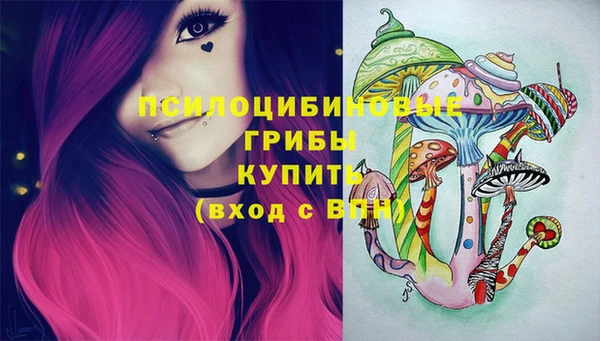 гашик Балабаново