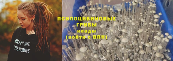 гашик Балабаново