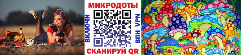 Псилоцибиновые грибы Psilocybe  даркнет сайт  Волчанск 
